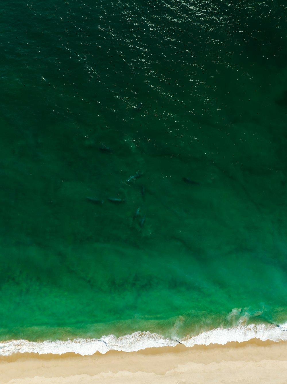 a group of surfers in the water near the beach