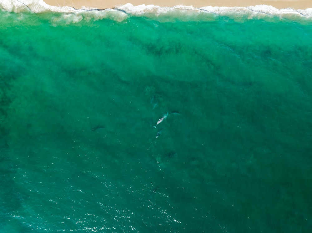 two surfers are riding the waves in the ocean