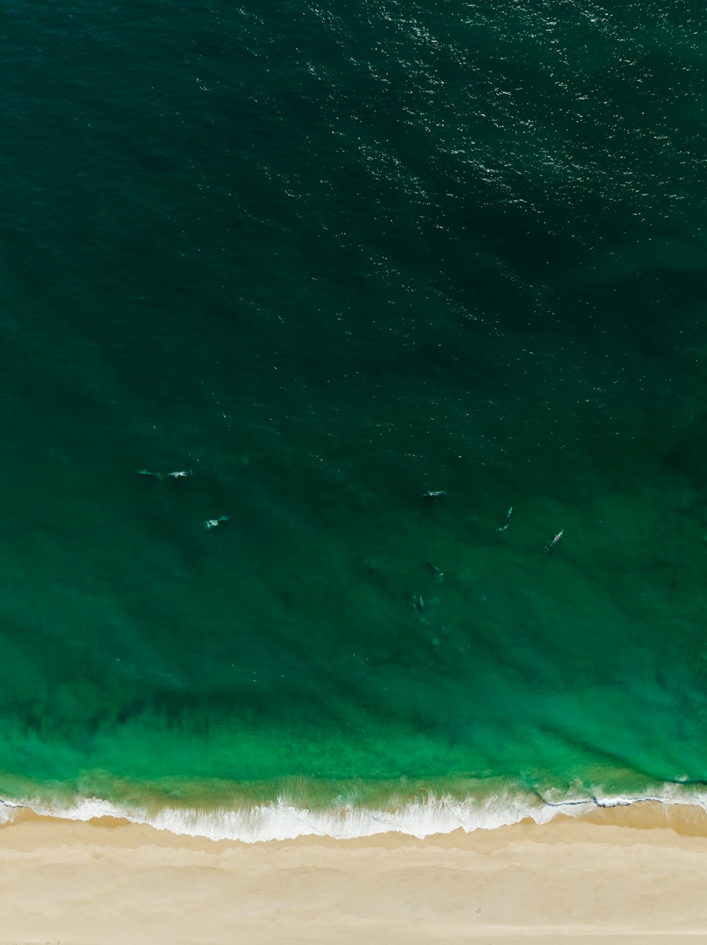 an aerial view of a beach and ocean