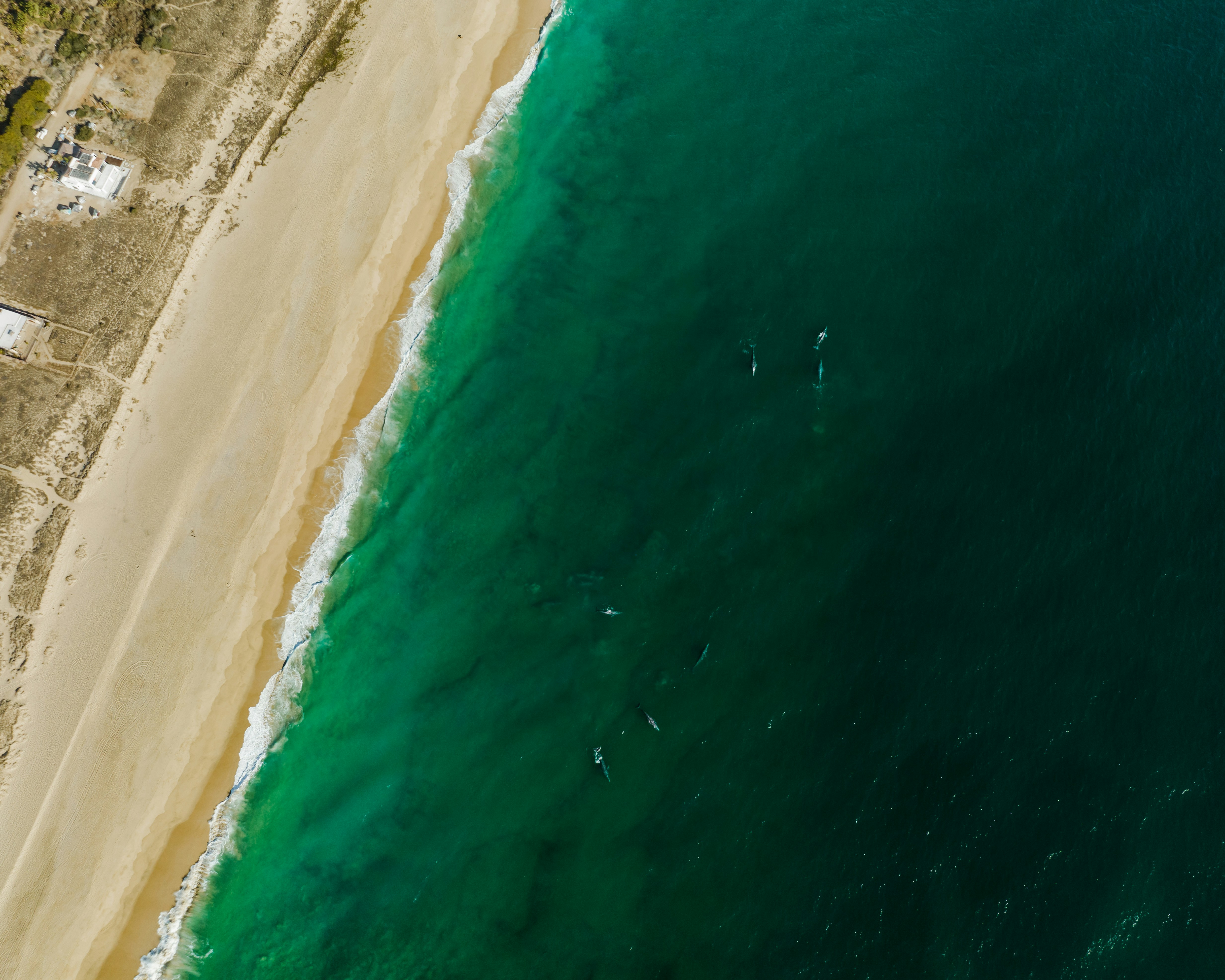 Photo by joshwithers