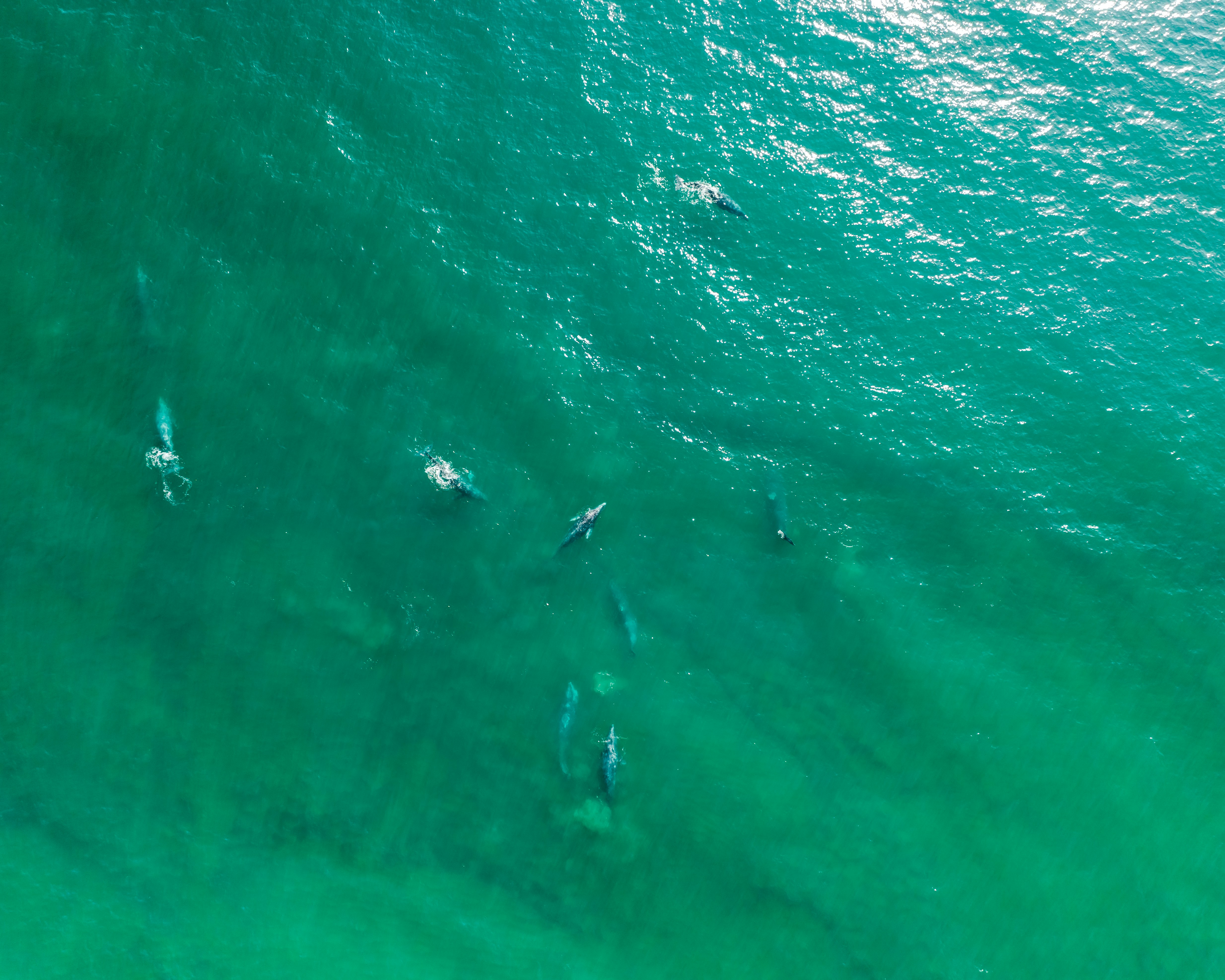 Photo by joshwithers