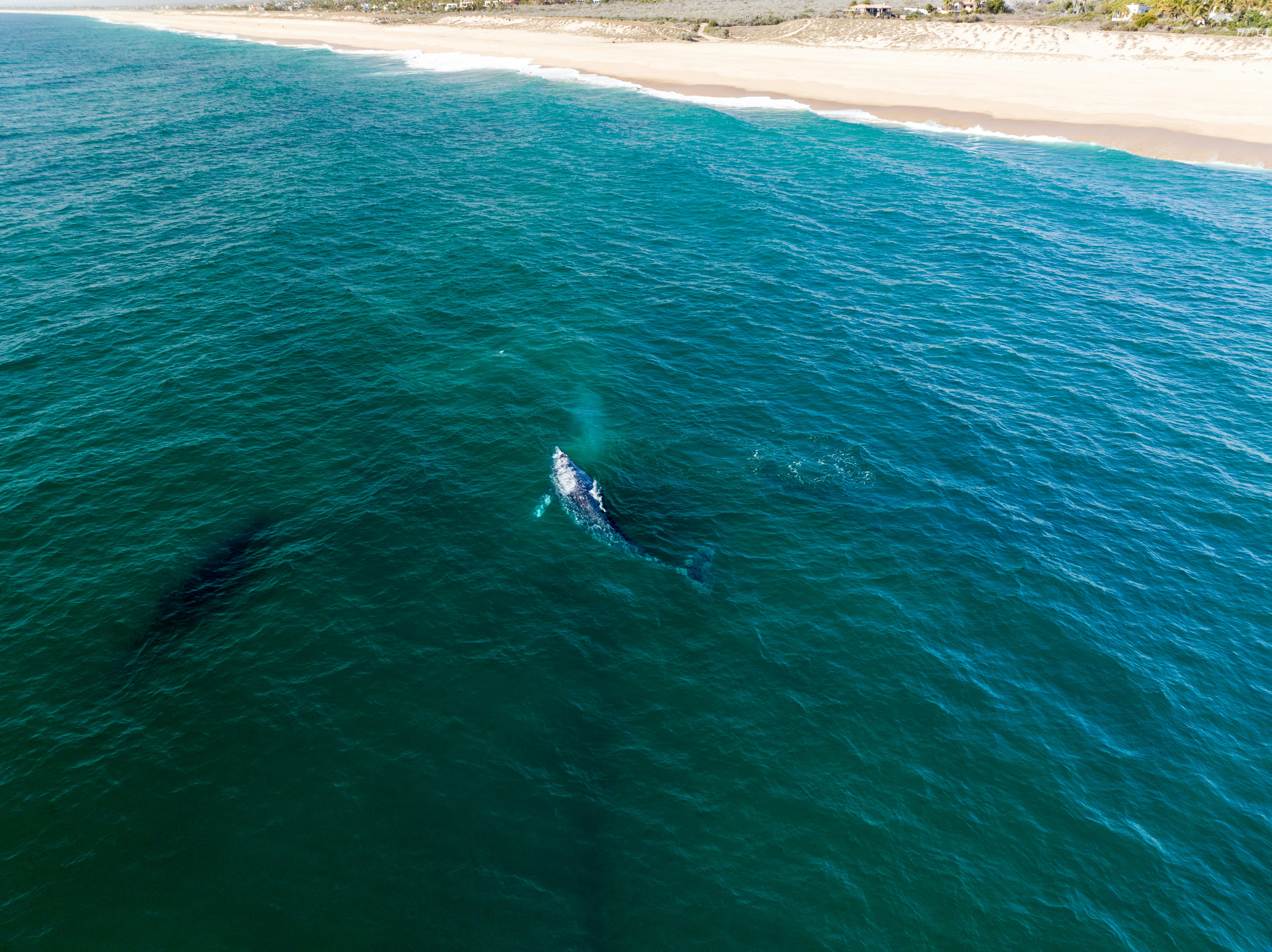 Photo by joshwithers