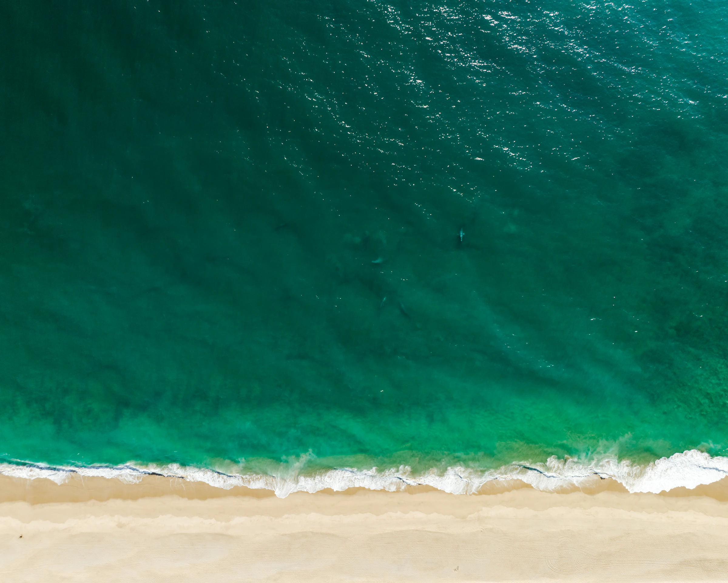 Cloudless sky over the Pacific coast at Todos Santos