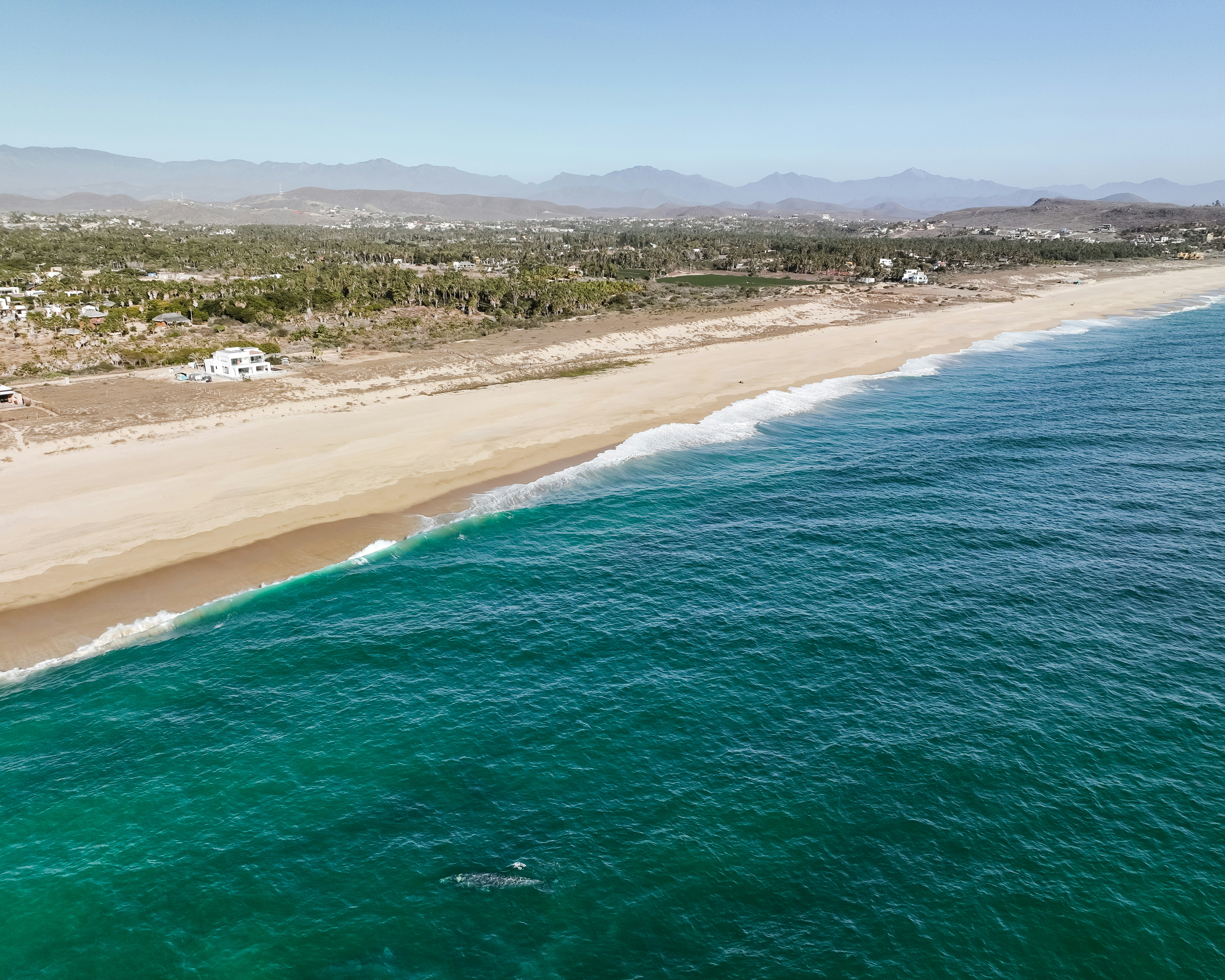 Unveiling Breach of Warranty Lawsuit Legal Insights