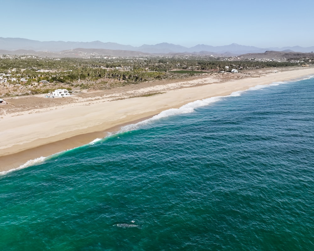 an aerial view of a beach and ocean