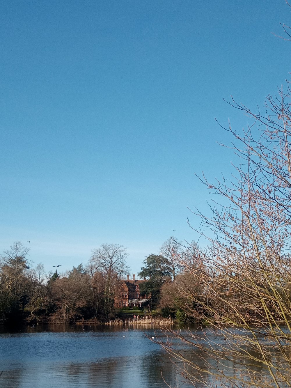 a large body of water surrounded by trees