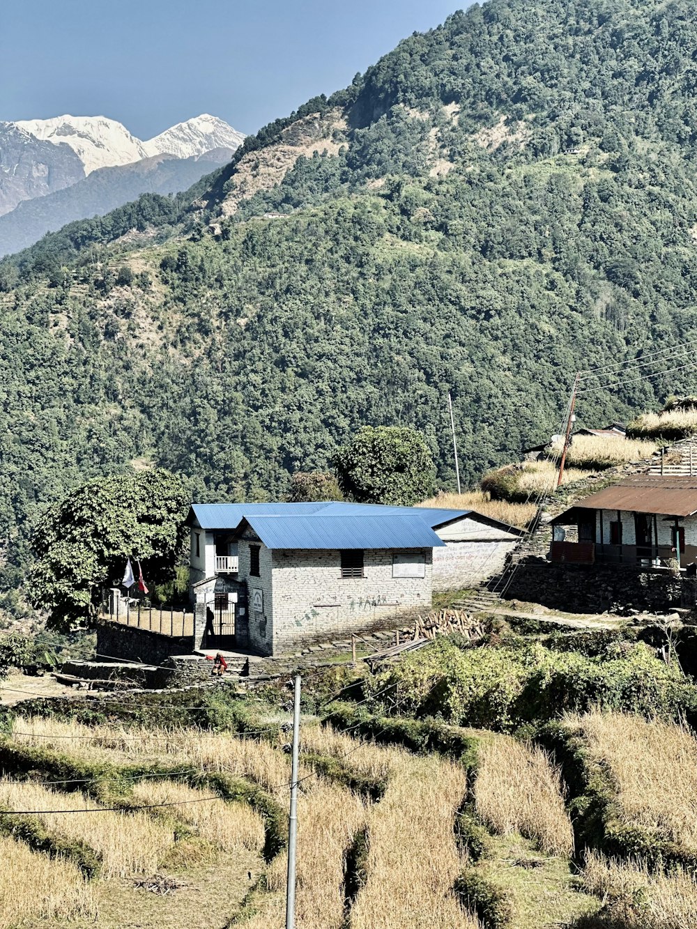 a house in the middle of a field with mountains in the background