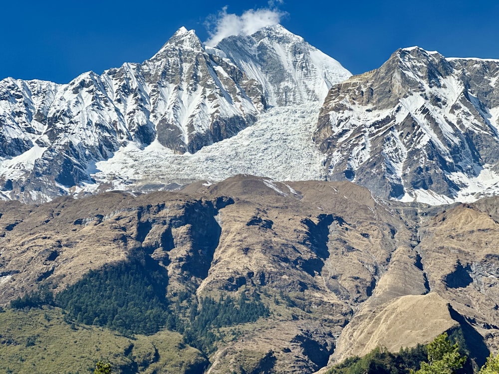 a mountain range covered in snow and trees