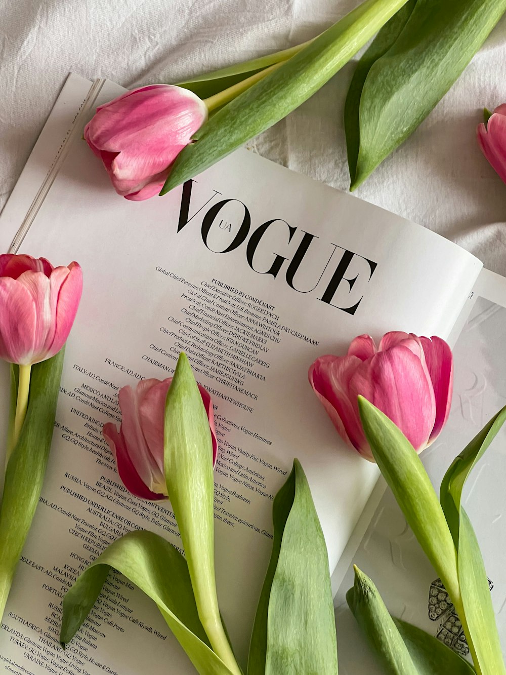 pink tulips on a page of a magazine