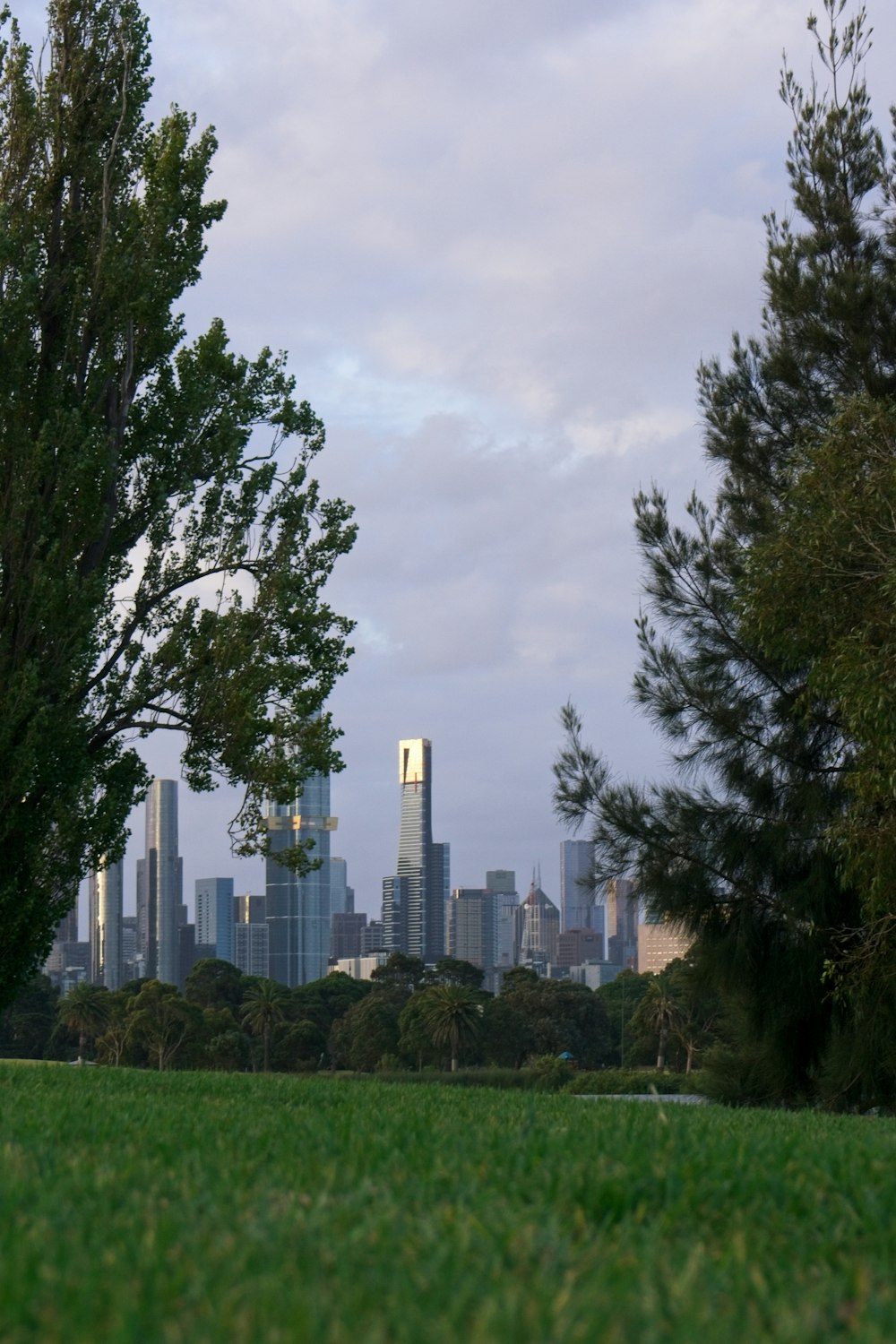 a grassy field with trees and a city in the background