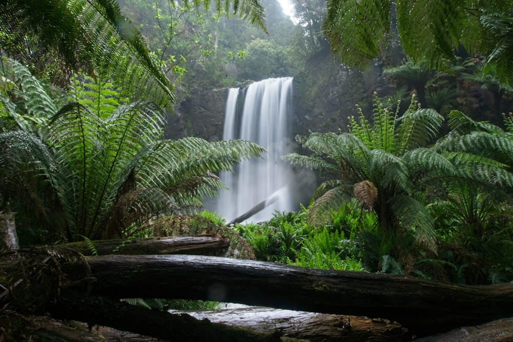 a large waterfall surrounded by lush green trees