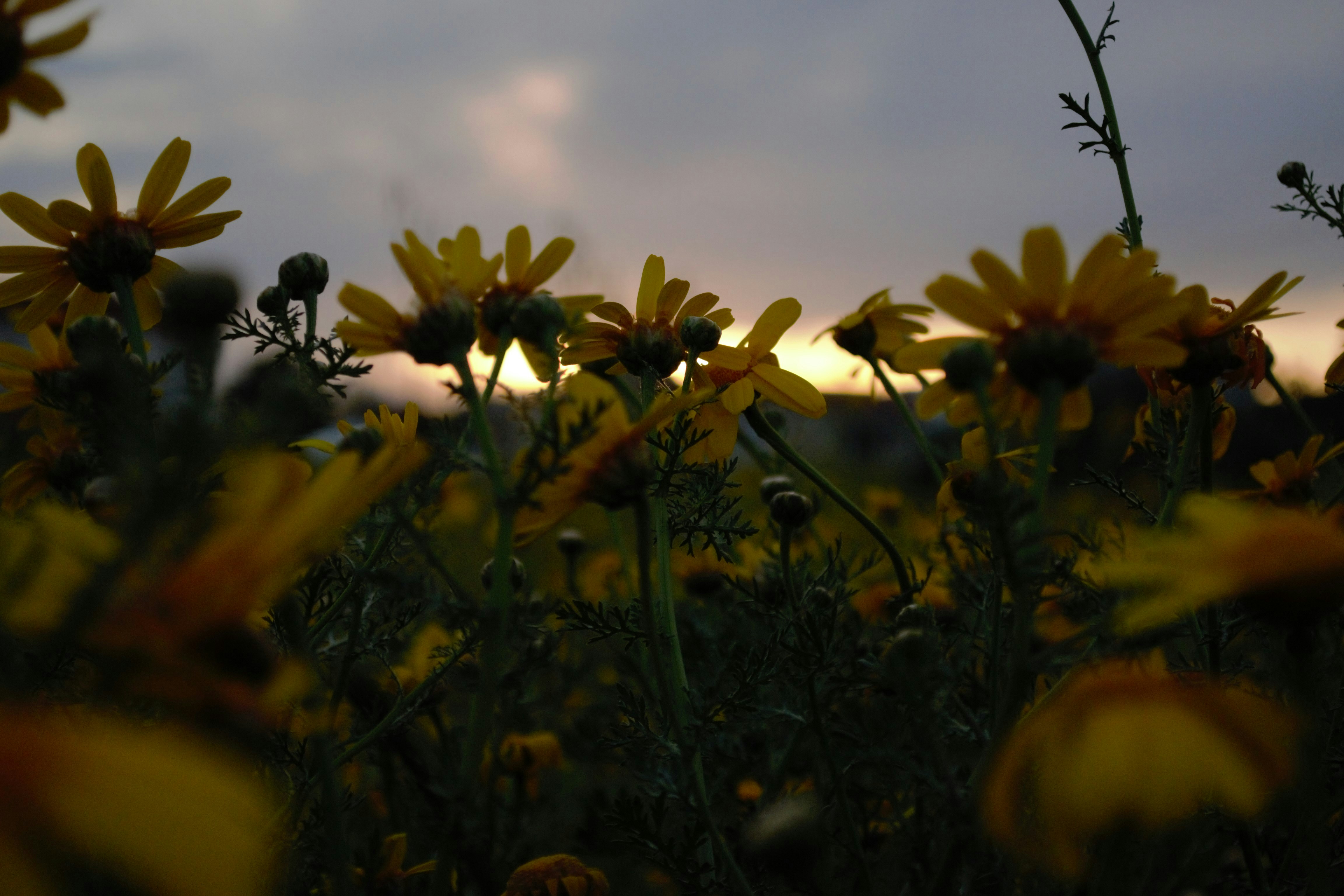 Photo by reggie_tmin
