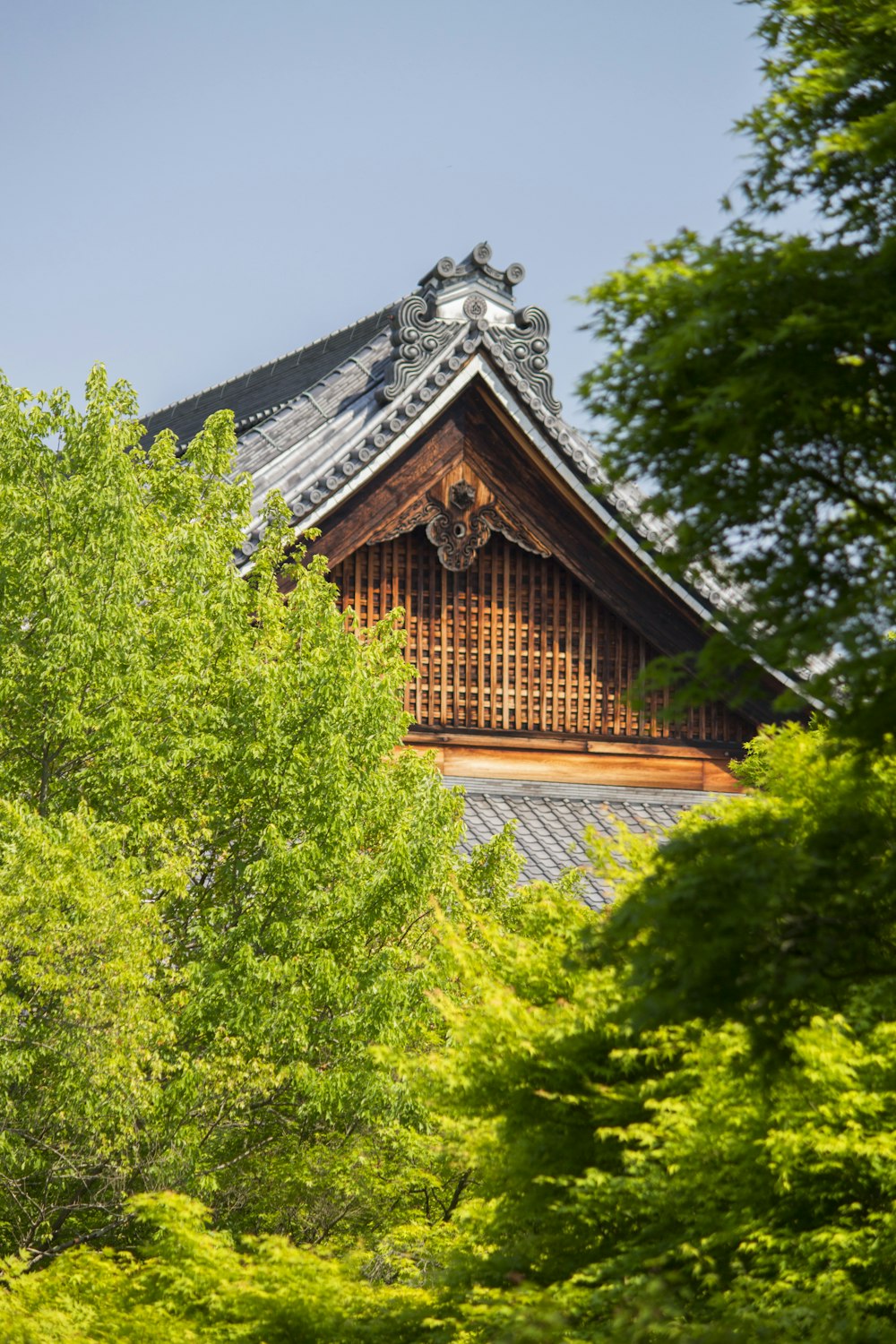 un edificio alto con un tetto in legno circondato da alberi
