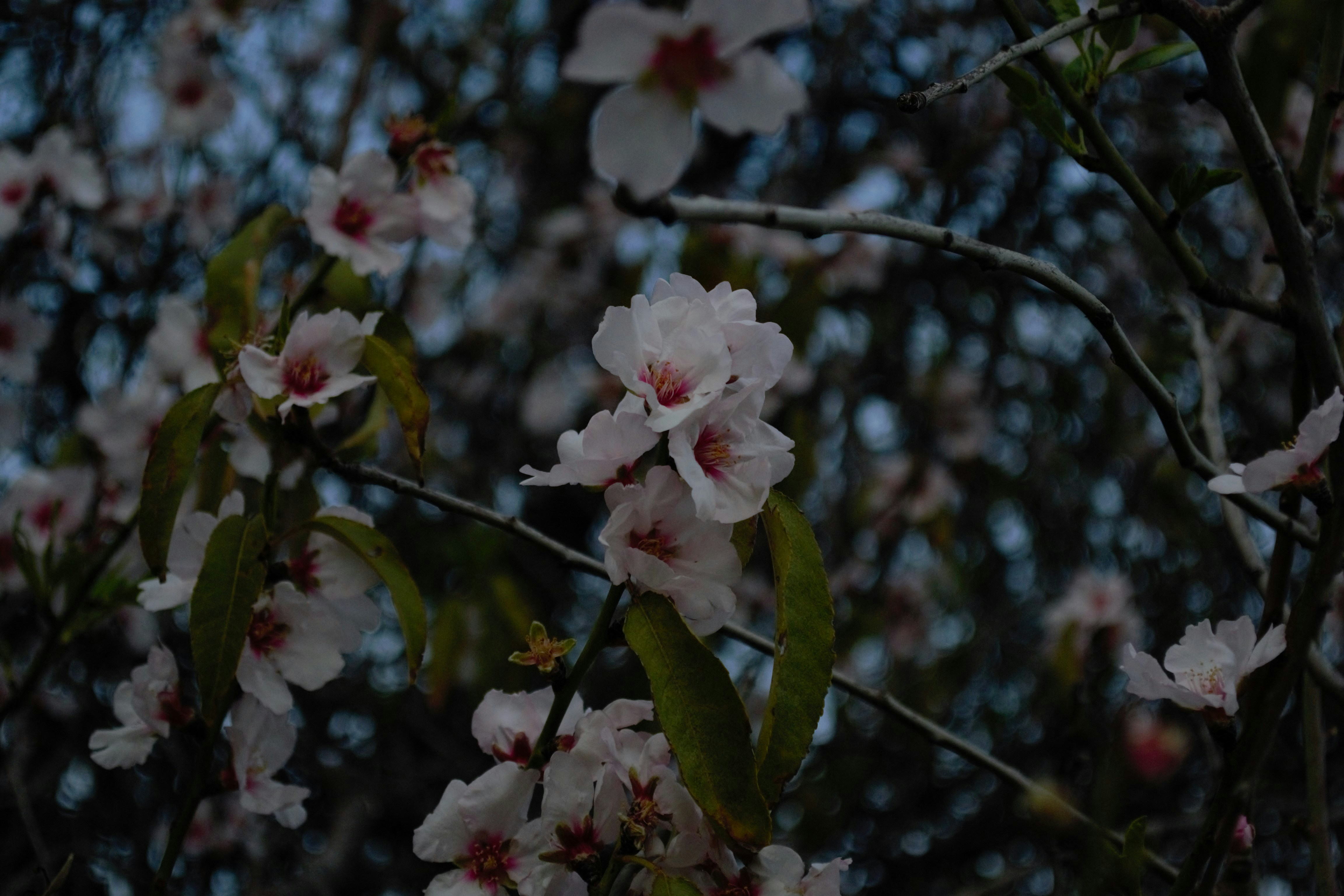 Photo by reggie_tmin