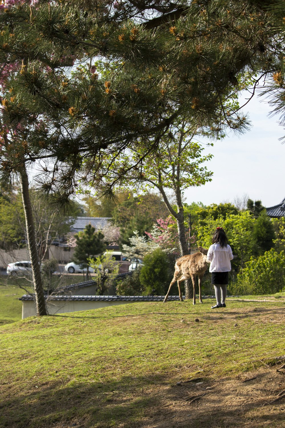 a woman standing next to a deer on a lush green field