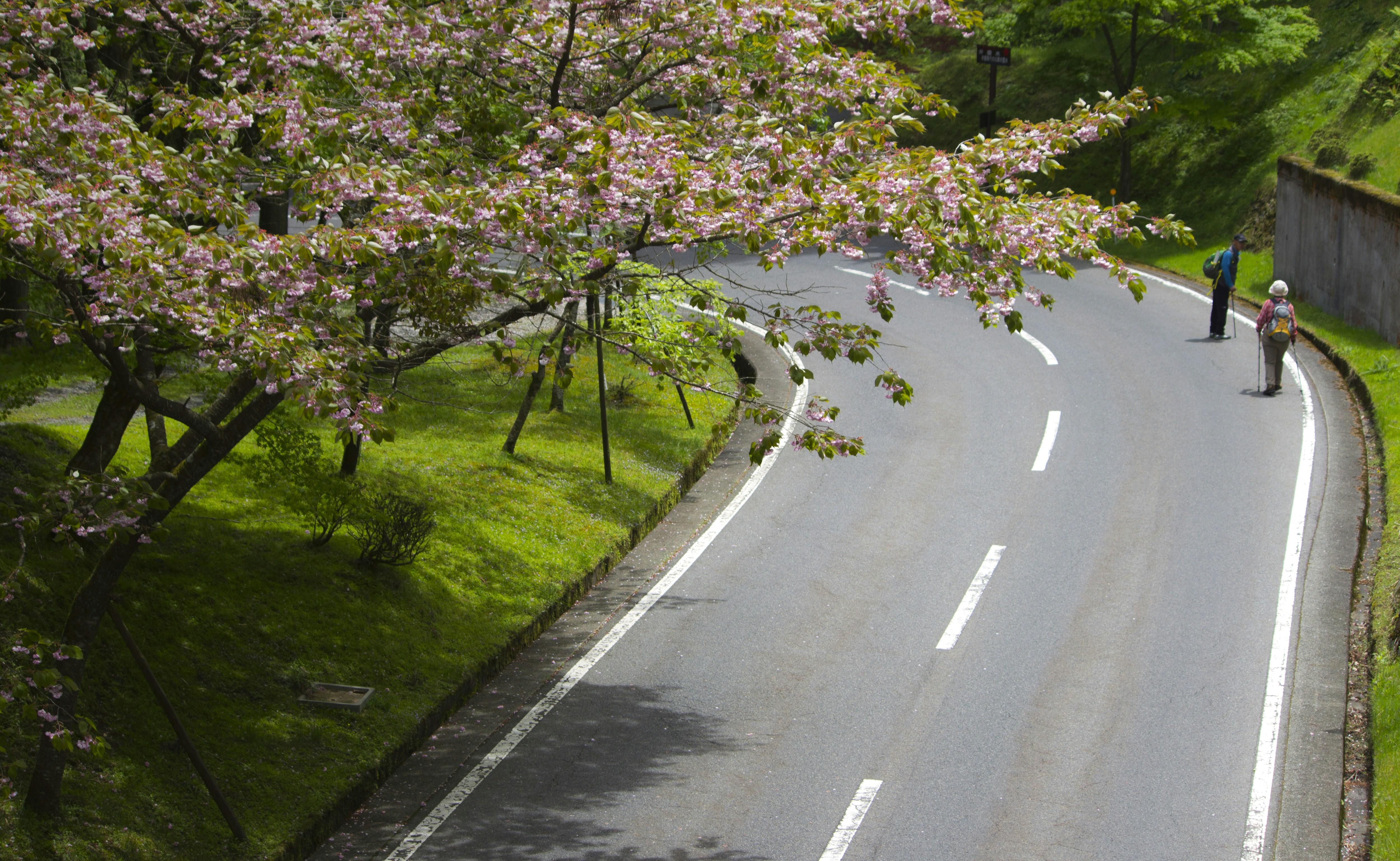 a couple of people walking down a road, Two hikers on a road