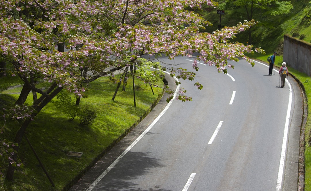 a couple of people walking down a road, Two hikers on a road