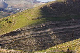 Environmental impact study team surveying a natural landscape.