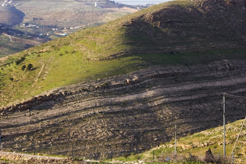 Environmental impact study team surveying a natural landscape.