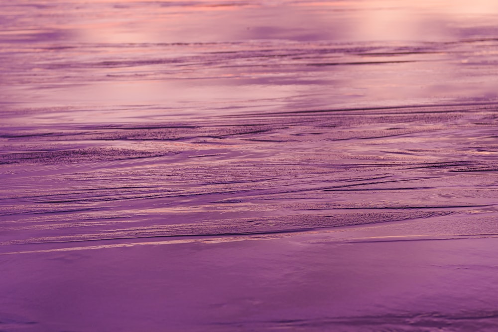 a person riding a surfboard on top of a body of water