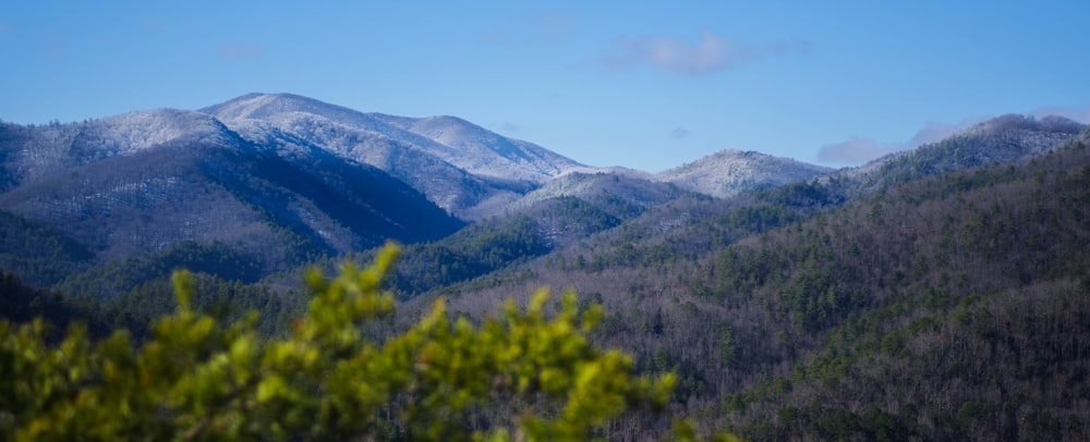 a view of a mountain range with trees in the foreground