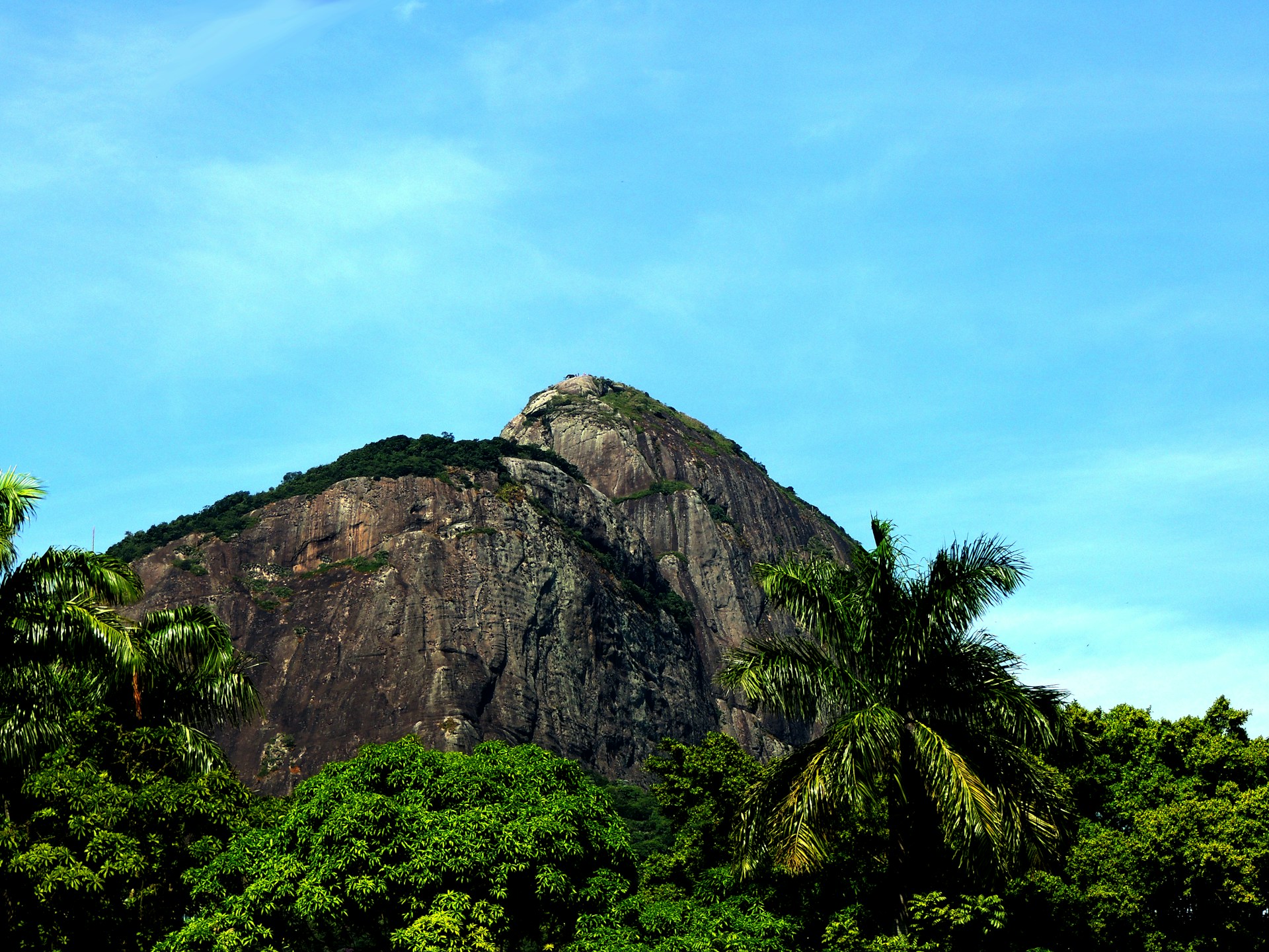 a very tall mountain surrounded by lots of trees