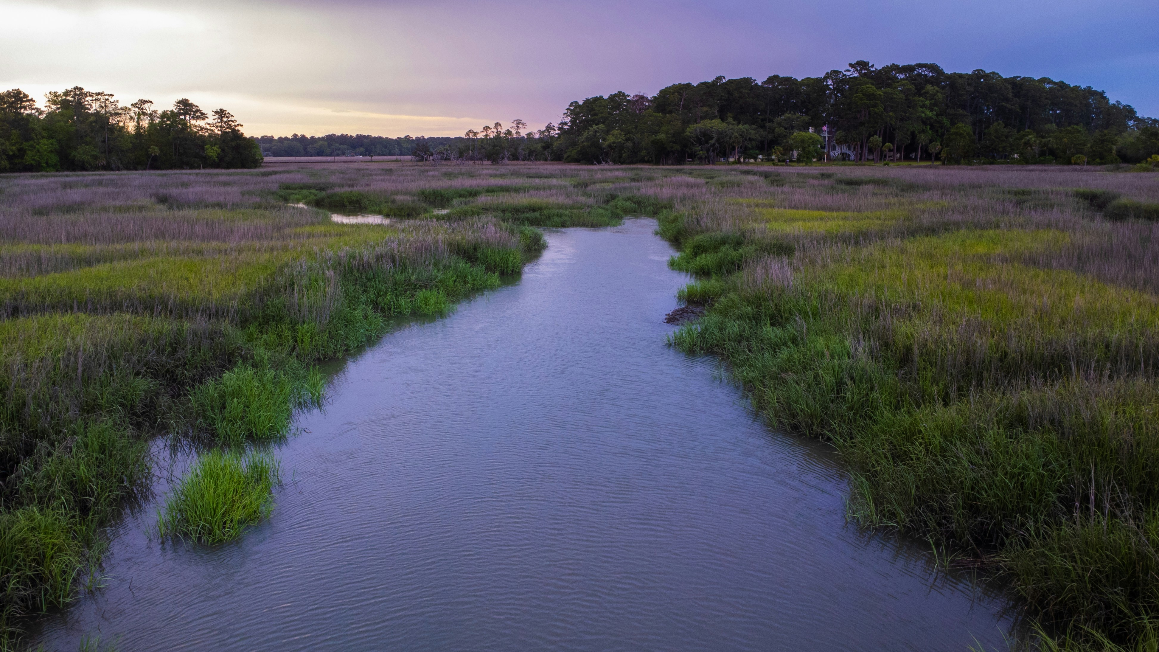 Coastal Georgia marshland typical of Camden County's shoreline communities.