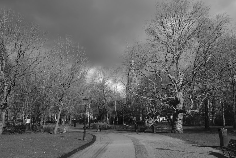 a black and white photo of a tree lined road