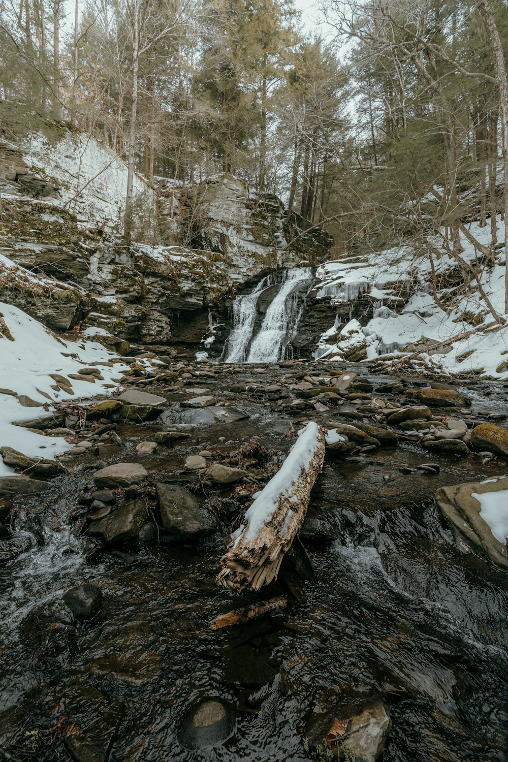 a small waterfall in the middle of a snowy forest