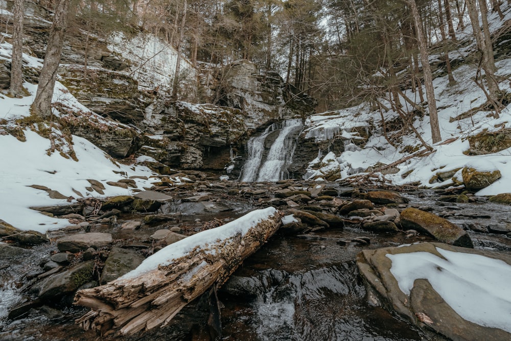 a small waterfall in the middle of a snowy forest