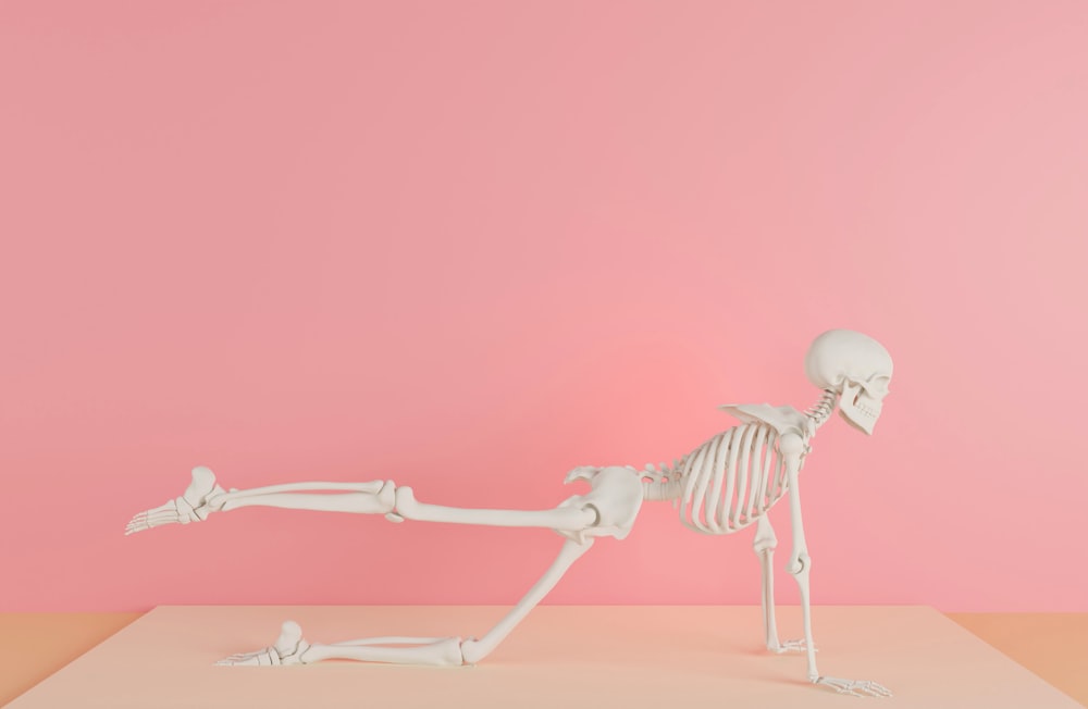 a skeleton laying on its back on a pink surface
