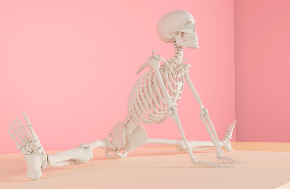 a skeleton sitting on the ground in front of a pink wall