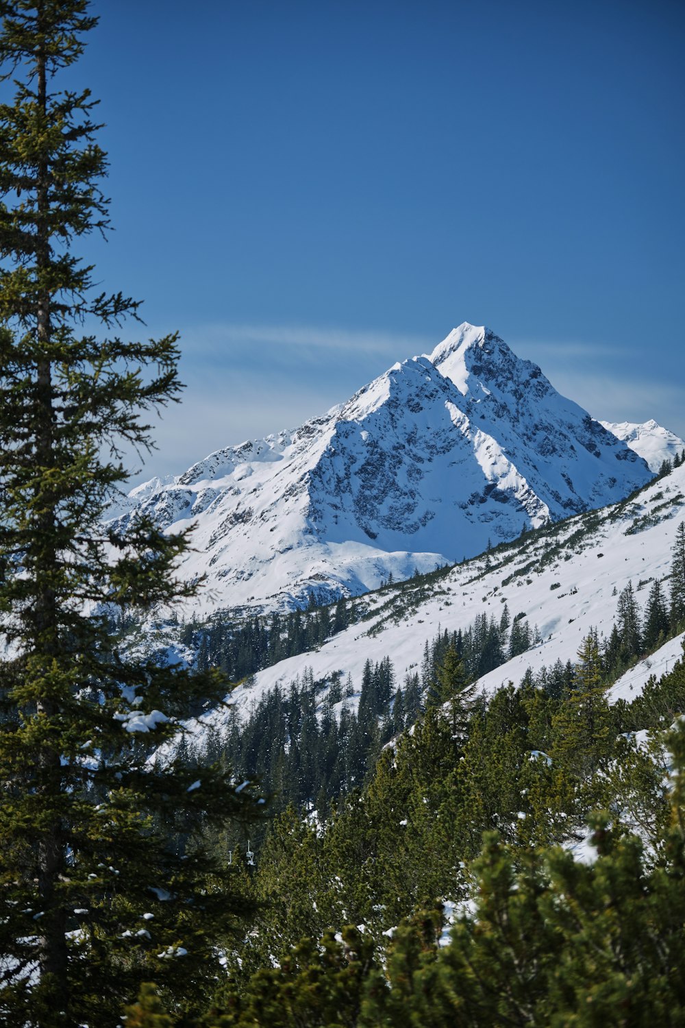 a snow covered mountain with trees in the foreground