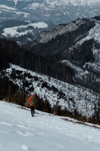 A person wearing a bright orange jacket and green backpack is hiking with poles on a snow-covered mountain slope. In the background, a panoramic view of rugged, snow-dusted mountains and a distant valley landscape can be seen.