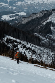A person wearing a bright orange jacket and green backpack is hiking with poles on a snow-covered mountain slope. In the background, a panoramic view of rugged, snow-dusted mountains and a distant valley landscape can be seen.