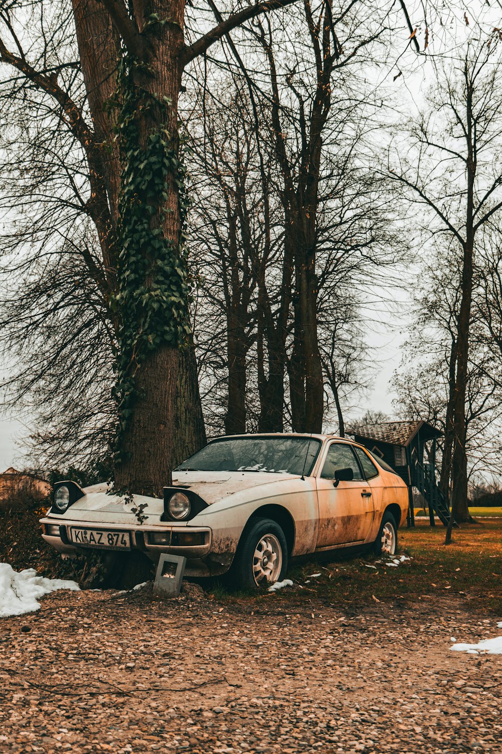 a car that is parked next to a tree