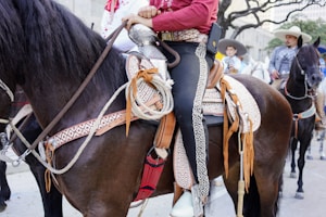 A person wearing traditional cowboy attire is mounted on a dark horse adorned with an ornate saddle. In the background, other riders are visible, also wearing cowboy hats, riding horses in a city setting with trees and buildings.