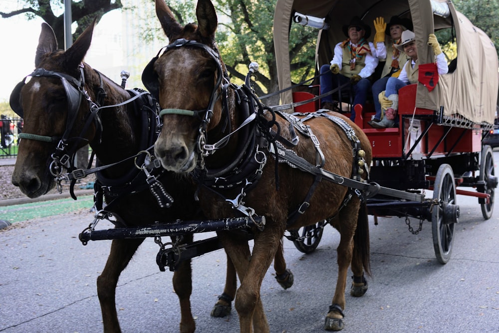 a couple of horses pulling a carriage down a street