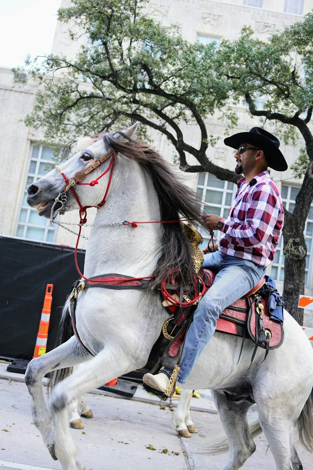 a man riding on the back of a white horse