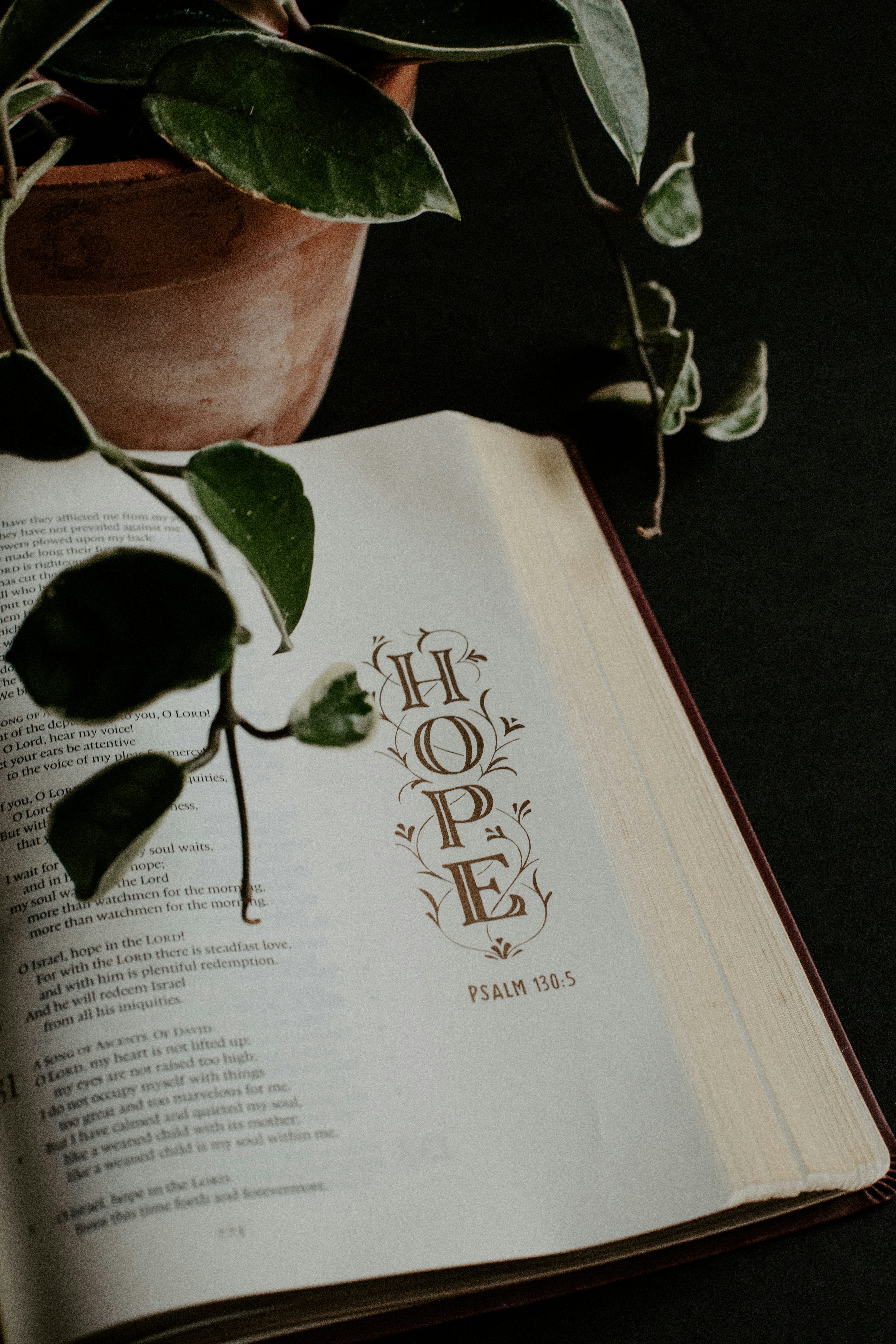 What Does the Bible Say About Hope