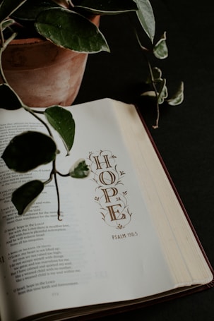 An open book showing a page with the word 'HOPE' and a reference to Psalm 130:5. A potted plant with green leaves extends its branches over the book. The background is dark, which contrasts with the white pages of the book.
