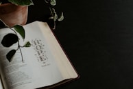 An open book displays the word 'HOPE' with a decorative font, surrounded by vine-like patterns. A potted plant with green leaves partially hangs over the book, creating a serene and contemplative atmosphere. The background is a dark, solid color, adding contrast to the scene.