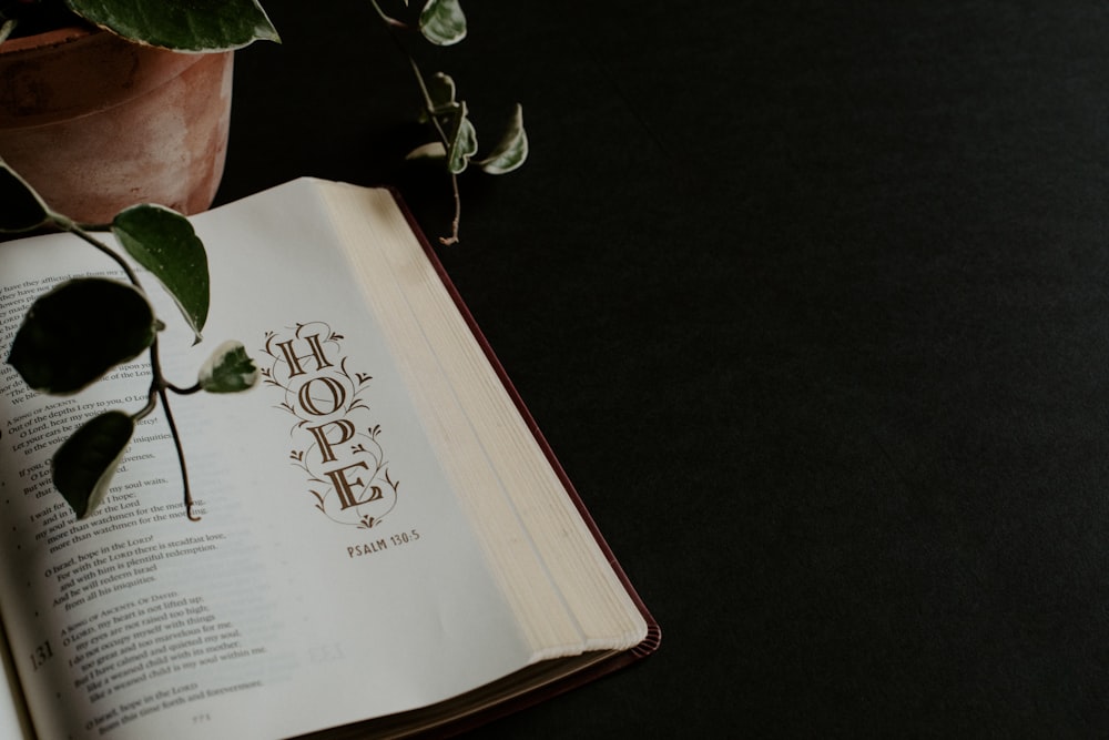 an open book sitting on top of a table next to a plant