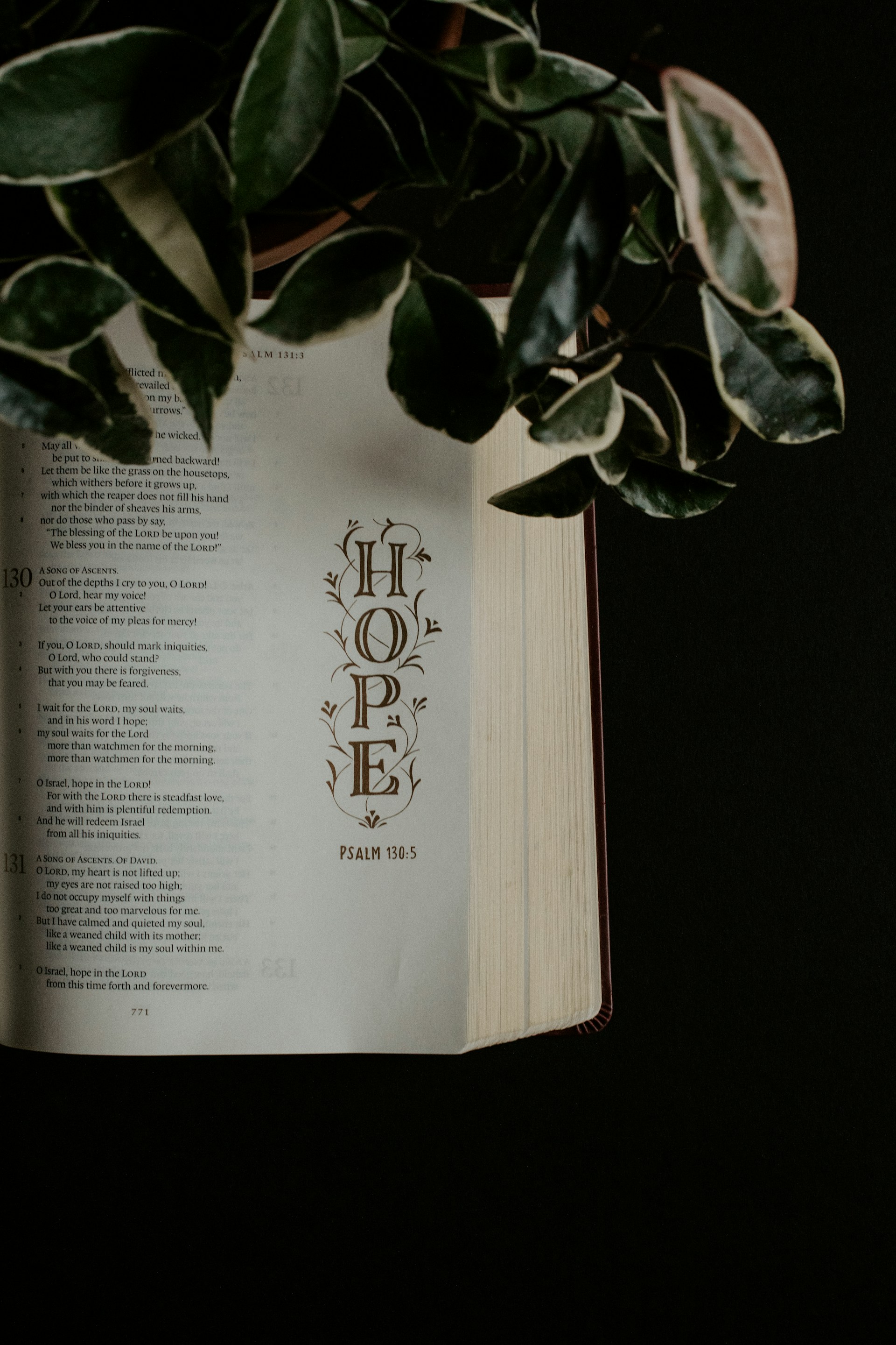 an open book with the words hope on it