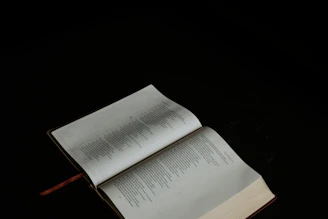 A modern, minimalist law book open on a dark wooden desk with soft lighting.