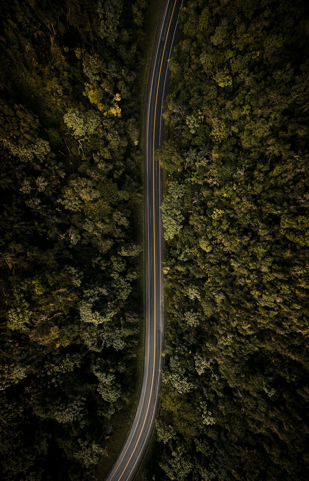 an aerial view of a road in the middle of a forest