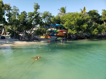 A serene coastal scene features clear turquoise water with a small sandy beach lined by lush green mangroves. Several colorful kayaks are stacked under shade canopies near the shore, and a jet ski is moored nearby.