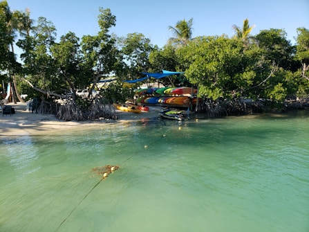 A serene coastal scene features clear turquoise water with a small sandy beach lined by lush green mangroves. Several colorful kayaks are stacked under shade canopies near the shore, and a jet ski is moored nearby.