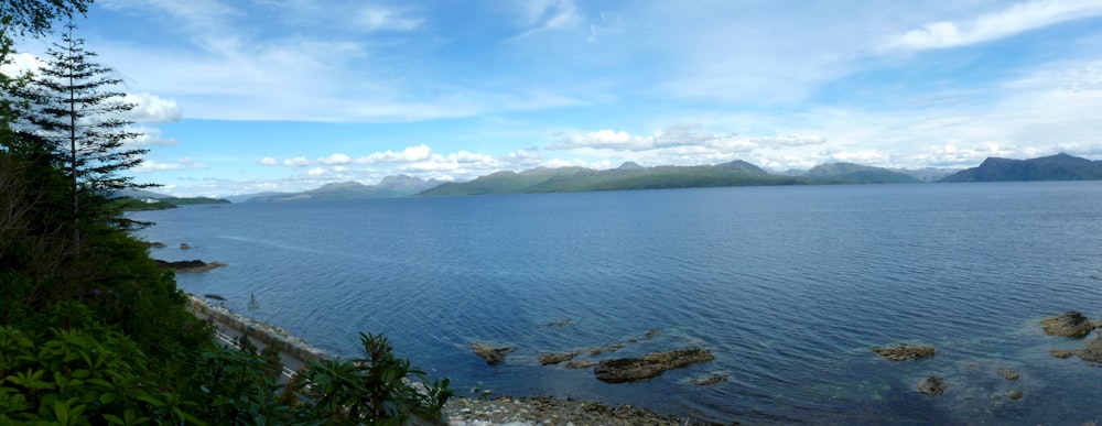 a large body of water surrounded by trees