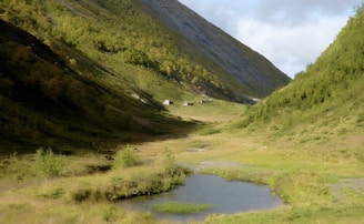 A peaceful valley surrounded by lush green hills with a small stream flowing through the grassy landscape. A few rustic cabins are nestled in the distance, partially sunlit by the afternoon light.